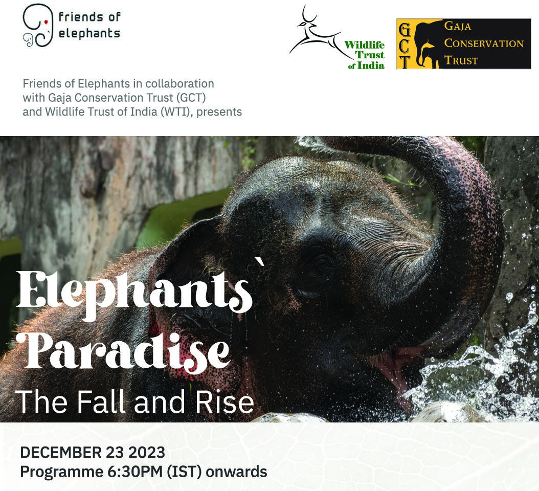 Elephants Paradise