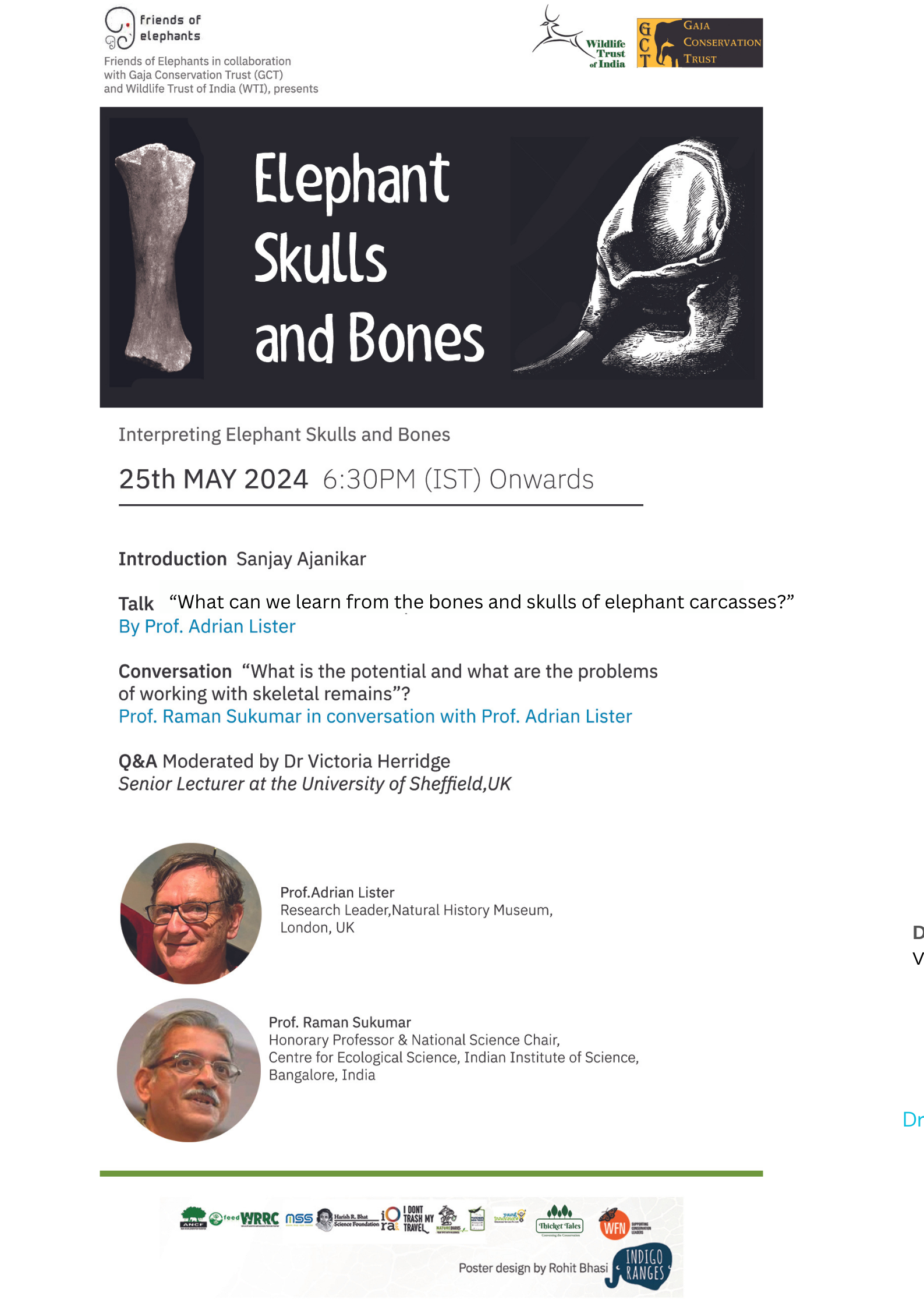 Elephant Skull and Bones